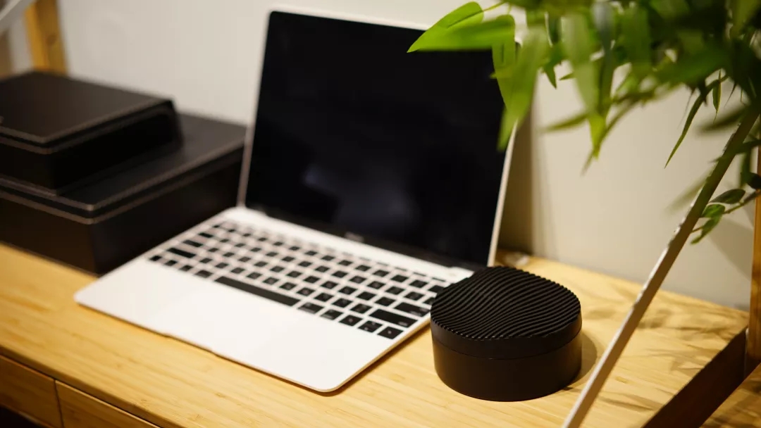 日本大豆除甲醛吗,大豆除甲醛有效果吗