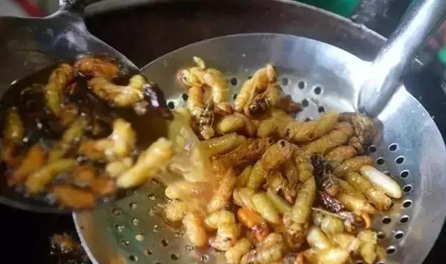 顺昌县一日游,顺昌本地有一日游的吗