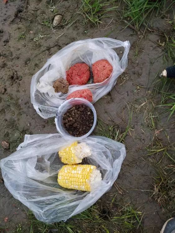 再次探钓朱家河，遭遇“水葫芦大军”