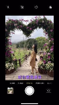 未来10天预警，深圳最最最最火的地方在这里，美女都赶来打卡