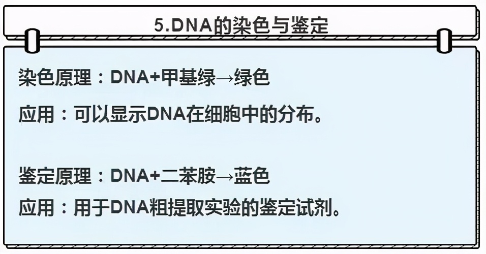 高中生物实验及其功能总结,高中生物实验要点归纳图