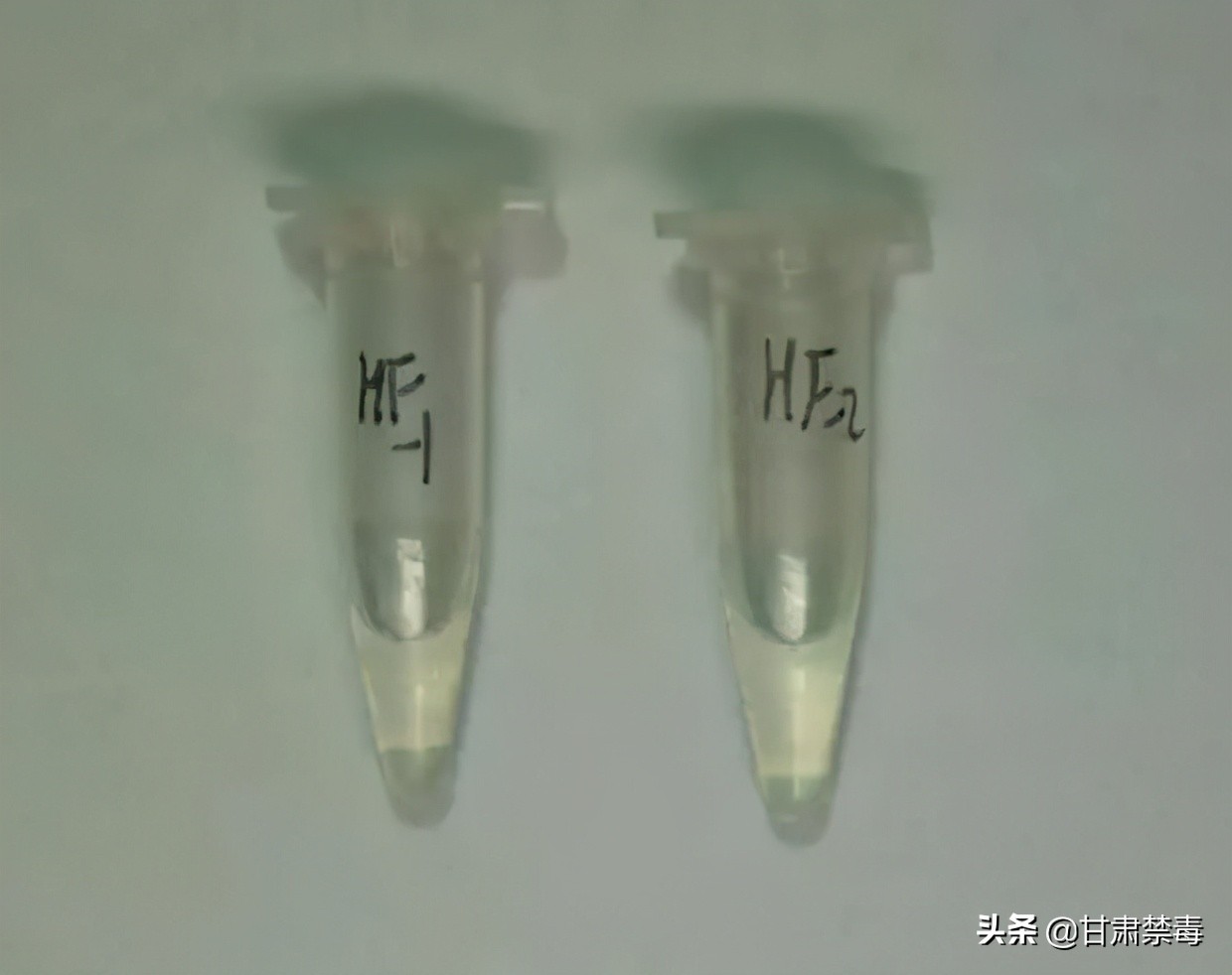 国际禁毒日不能够做什么,国际禁毒日违禁药品