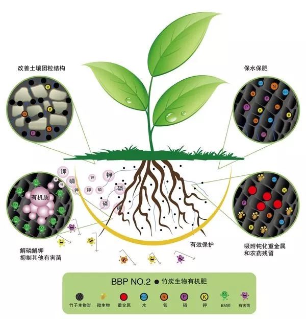 未来最具有前景的创业行业,未来创业前景最好的十大项目