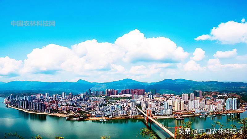 江上琼阁石宝寨！一县一品公益助农，重庆忠县农特产品柑橘