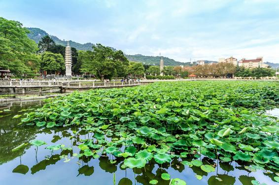 旅拍婚纱照厦门旅游攻略,昆明到厦门旅拍