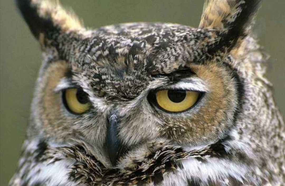 做一名地推销售需要保持的好习惯,做销售地推最合适怎么样的人