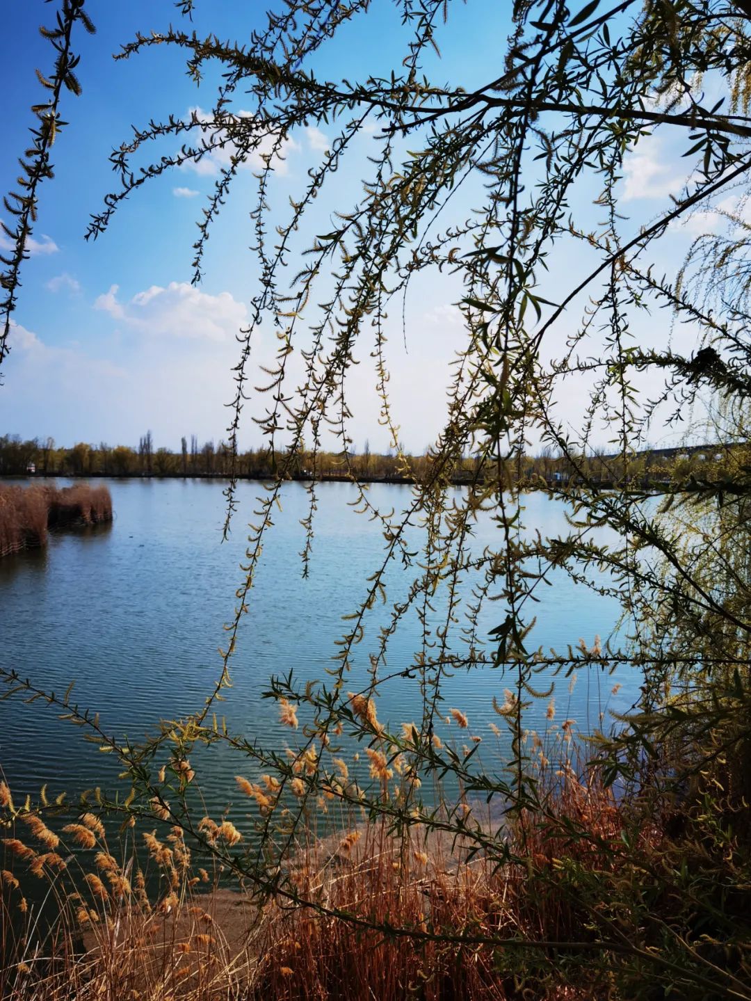 伊犁最美的50处绝色美景,伊犁最美的小众景点