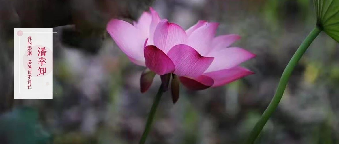 圣母病难治,圣母病