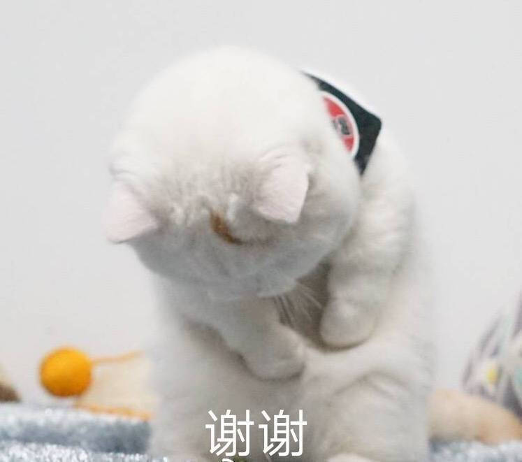 钢铁直男的九大特征咋撩,当钢铁直男听到土味情话