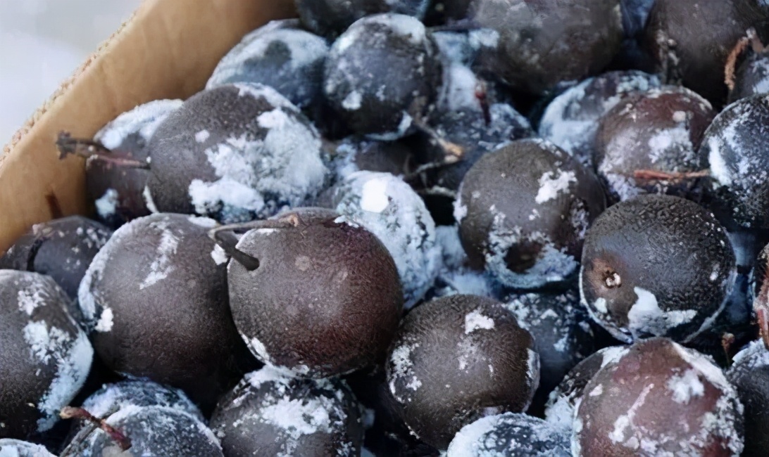 什么水果能够直接冻而且热量还低,什么水果被冰冻之后更好吃