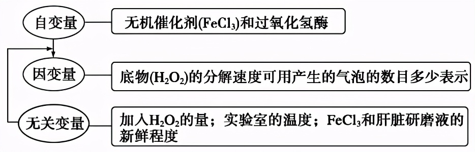 高中生物实验及其功能总结,高中生物实验要点归纳图