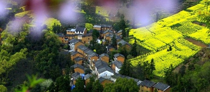 歙县观赏油菜花经典路线,歙县自驾游婺源看油菜花车停哪里