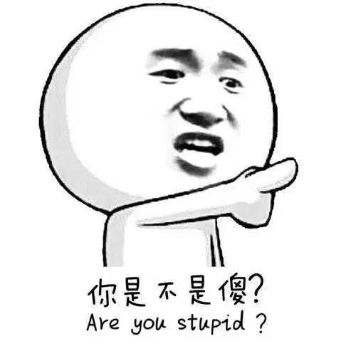 国外进口猫狗粮,猫狗粮原装进口