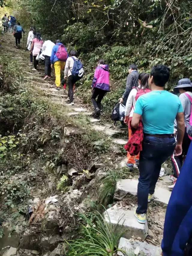 百城联动康养行,百城联动中华全民健步日