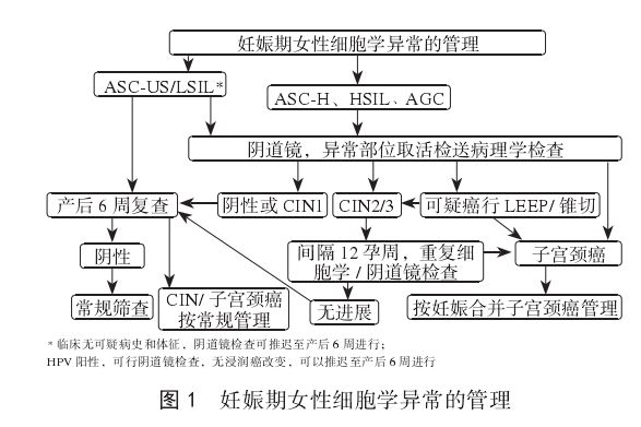 剖宫产手术行家共识,妊娠合并宫颈癌