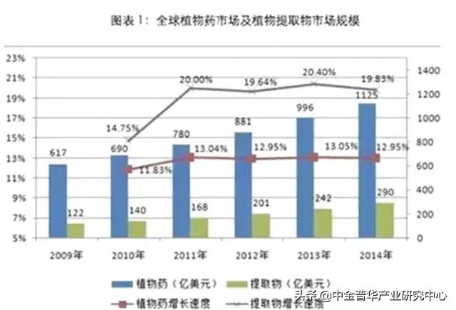 植物提取物市场格局分析商业计划书-中金普华