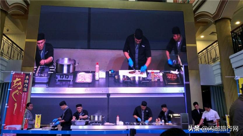 星梦邮轮探索梦号全攻略,星梦邮轮世界梦号日本航次攻略