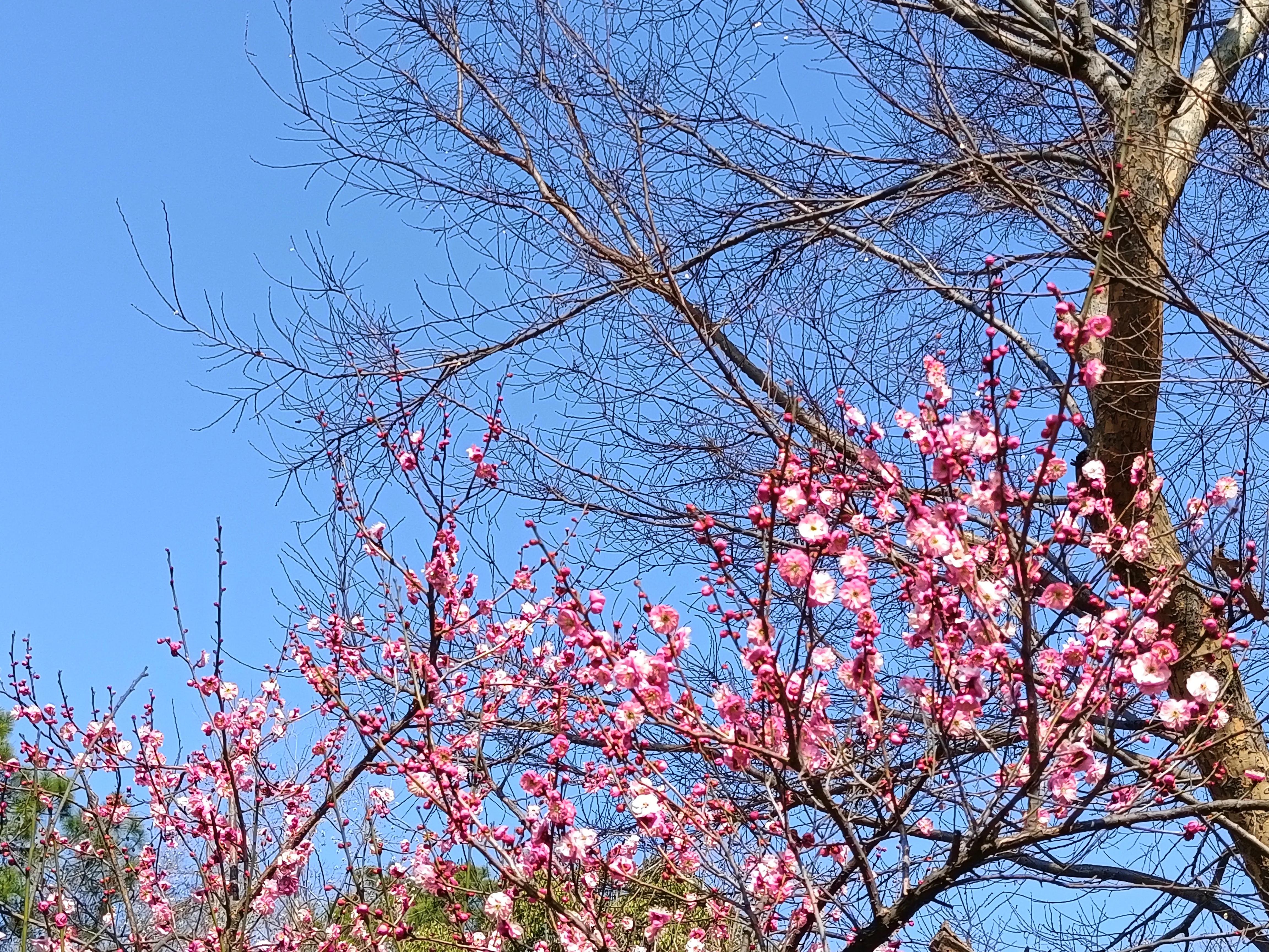 上方山森林公园文章,上方山森林公园动物世界