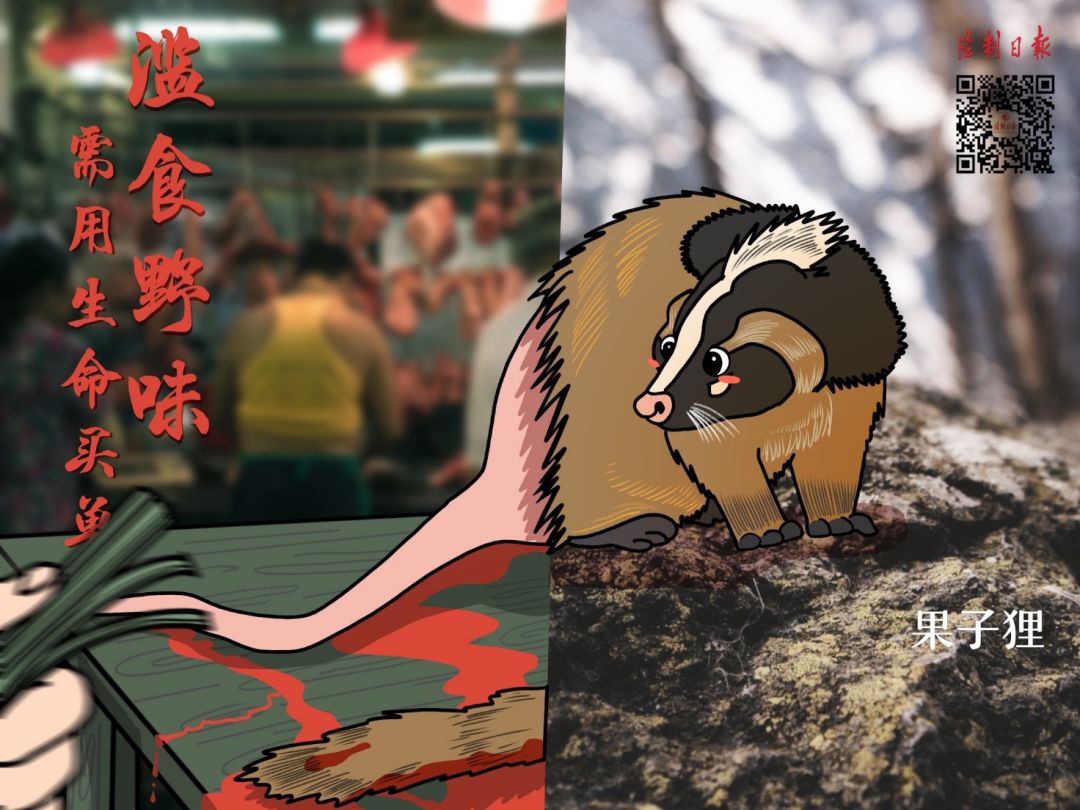 关于拒绝野味的讽刺漫画,远离野味的漫画