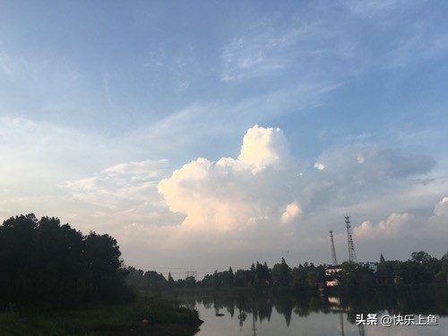 意外的大物鱼情狂切子线最后我用这种方法告捷搏大物