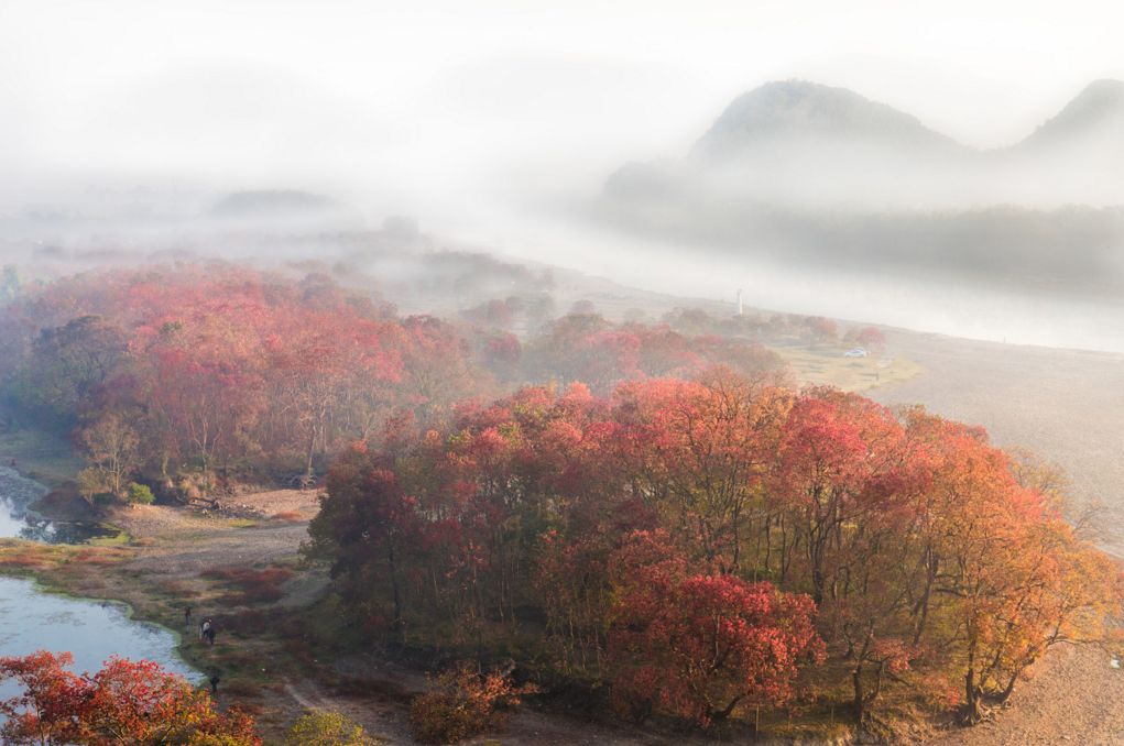 秋天最美地方,秋天全部的风景