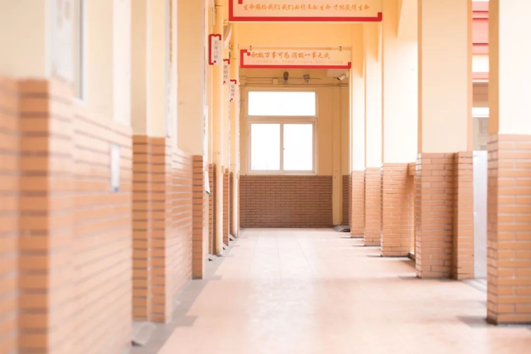 重庆育才中学初中划片,重庆一实初中划片哪个小区能读