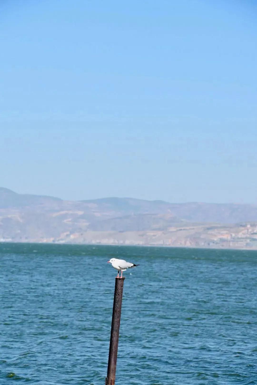 双节星空摄影作品欣赏,一组美丽的星空摄影作品