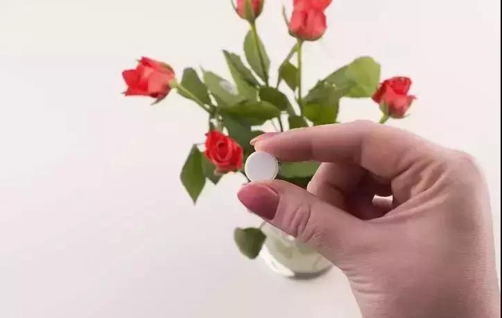 茉莉花长出白根能够扦插吗,茉莉花有白根枯杆还能返青吗