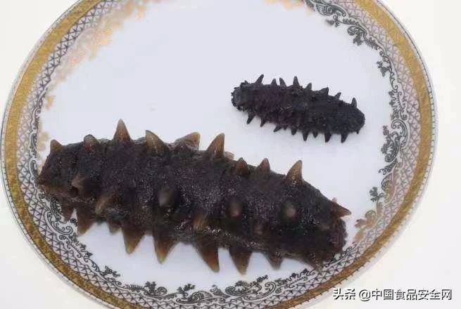 孝顺父母买海参,吃海参中毒现象