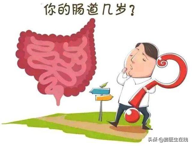老人胃肠功能老化怎么治疗,高龄老人胃不好怎么调理