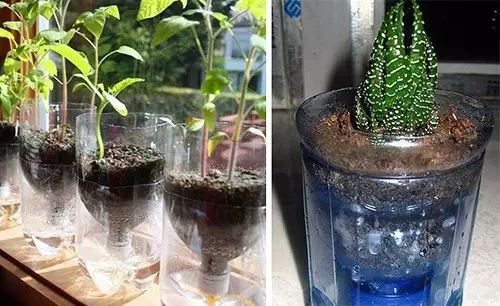 懒人自制花盆的方法,自制可爱的花盆大全