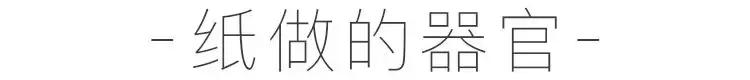 广州90后妹子用顶级纸艺解剖人体，看过的人惊艳到灵魂出窍
