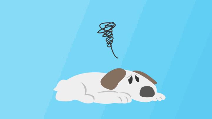 写作专题:ALittleDog,一只小狗）
