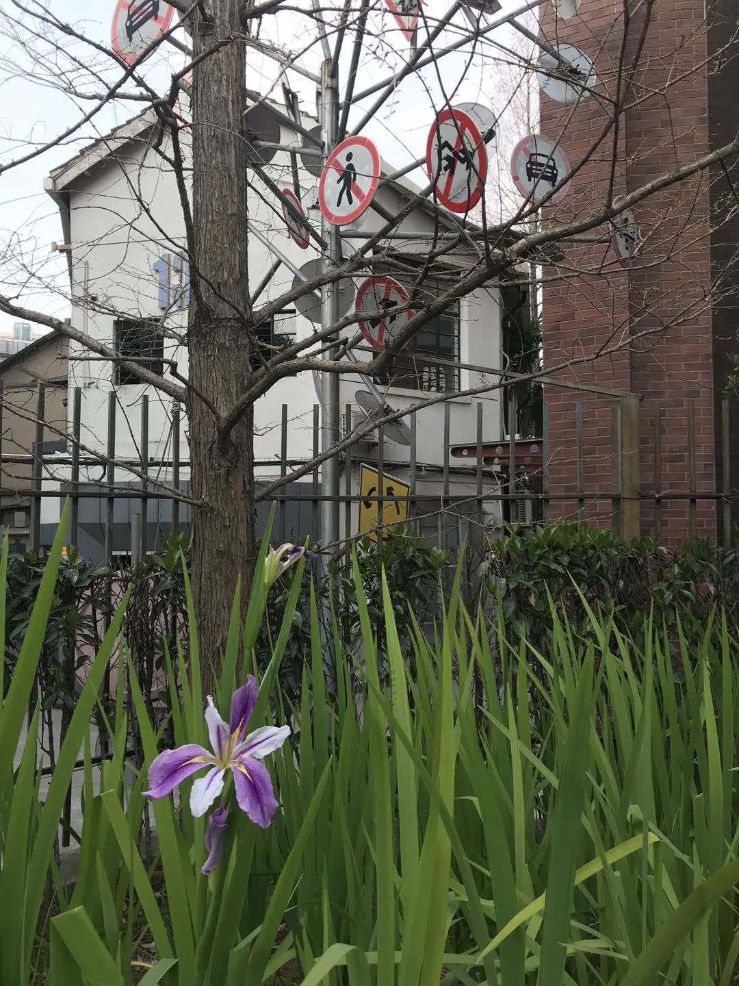 普陀区苏州河十八湾,花漾苏河十八湾多少一平米