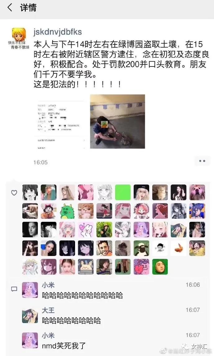 猫咪带回家后不解手,学会哪招才能让不听话的猫咪听话