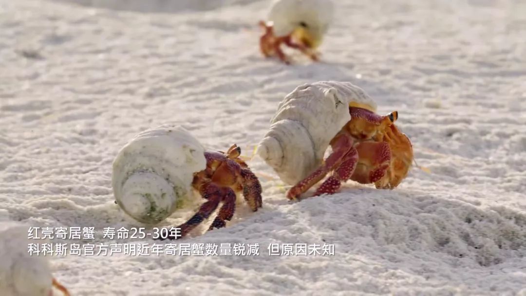 彭于晏我最需要的时候你在哪里,彭于晏我最需要他的时候他在哪里