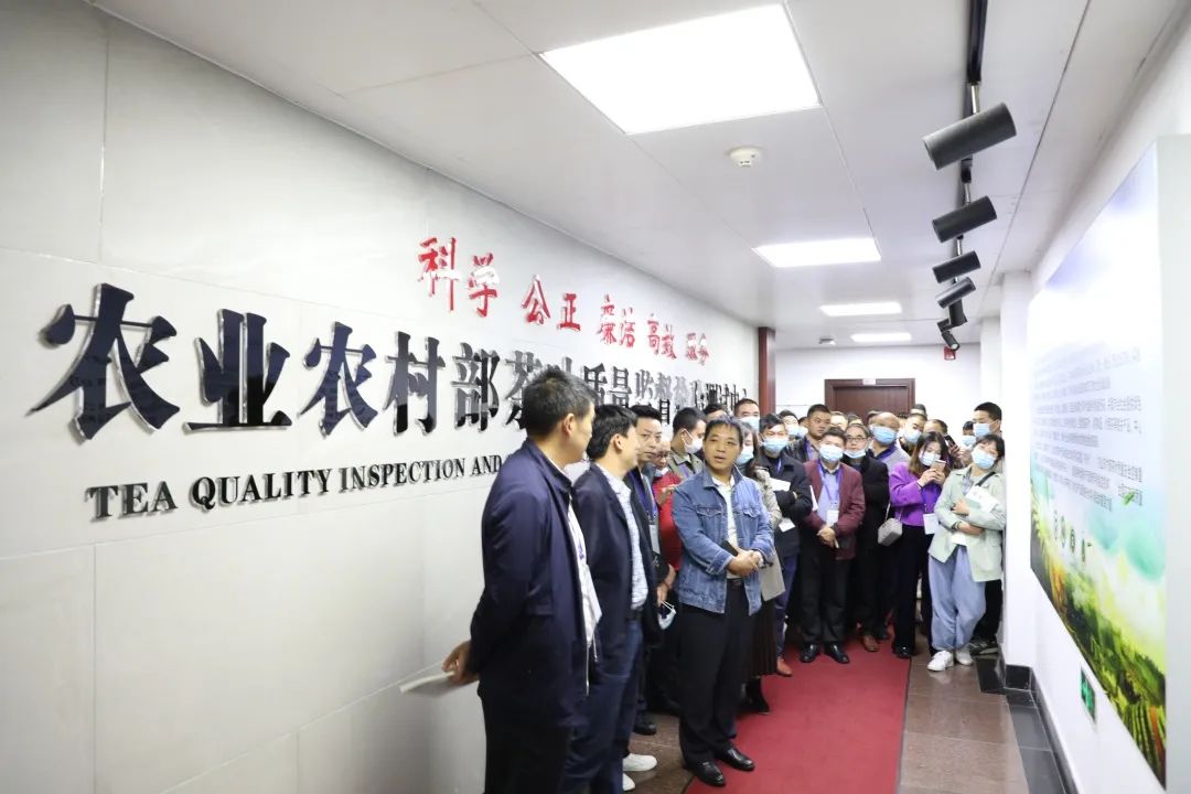 茶叶培训,湖北茶叶评茶师培训
