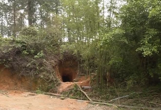 广东超大巨蟒,大山之间惊现神秘巨蟒