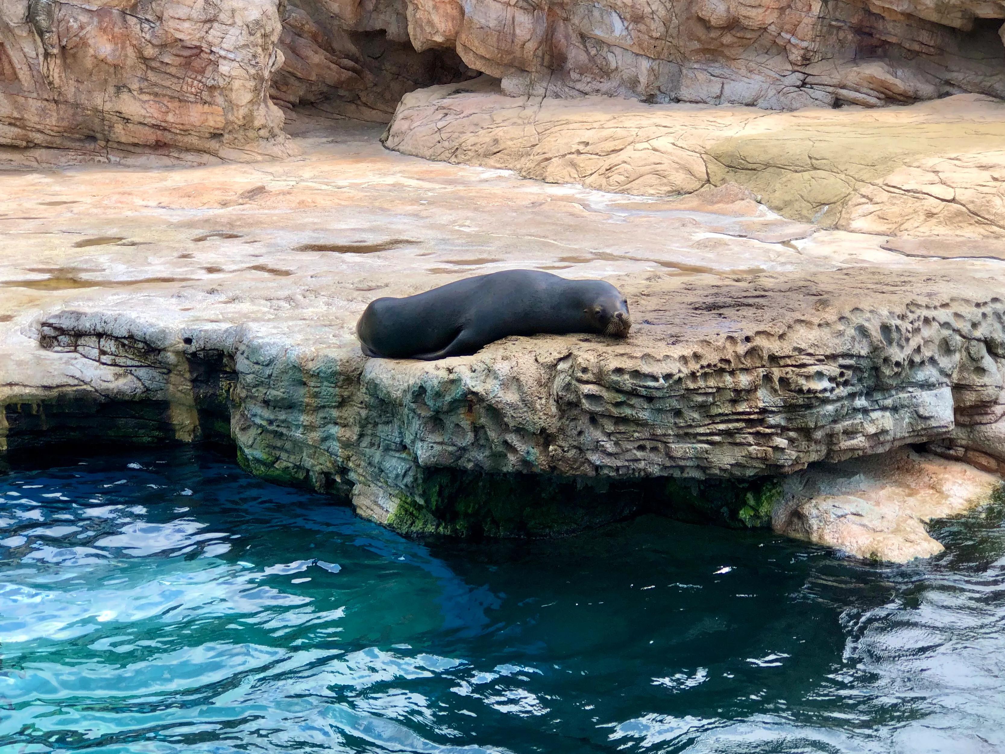 珠海长隆游玩攻略和时间,一月珠海长隆游玩攻略三天两晚