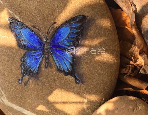 石头画蝴蝶教程视频,在石头上画蝴蝶用丙烯颜料