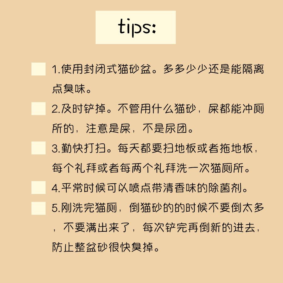 猫砂太臭猫咪还在里面上厕所吗,猫想上厕所没有猫砂怎么办