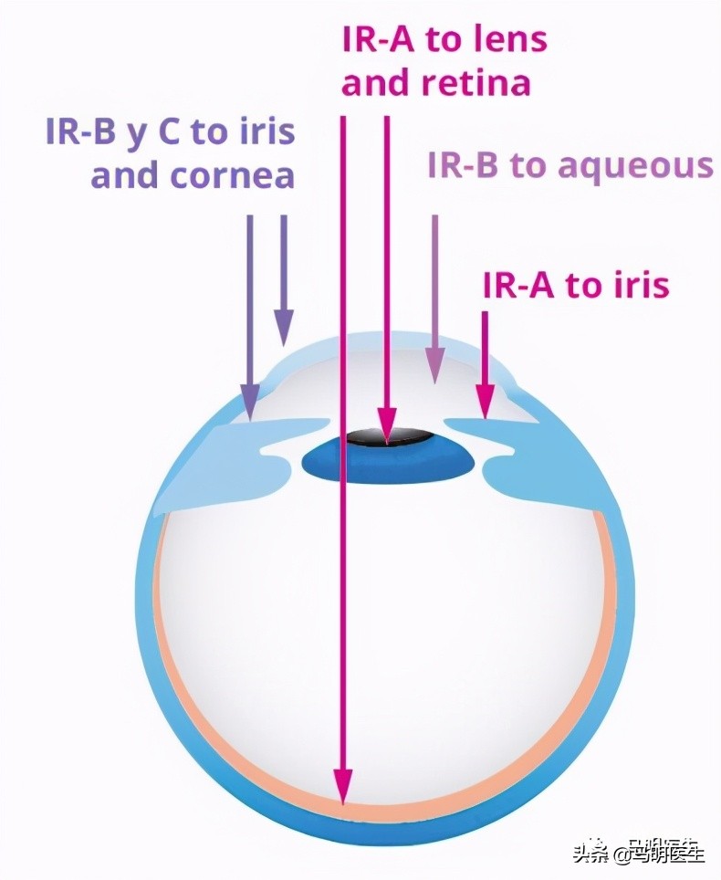 红光治疗的好处与危害,红光红外光副功能
