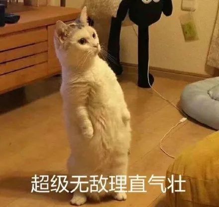 同事关系该如何相处,同事关系如何相处最好