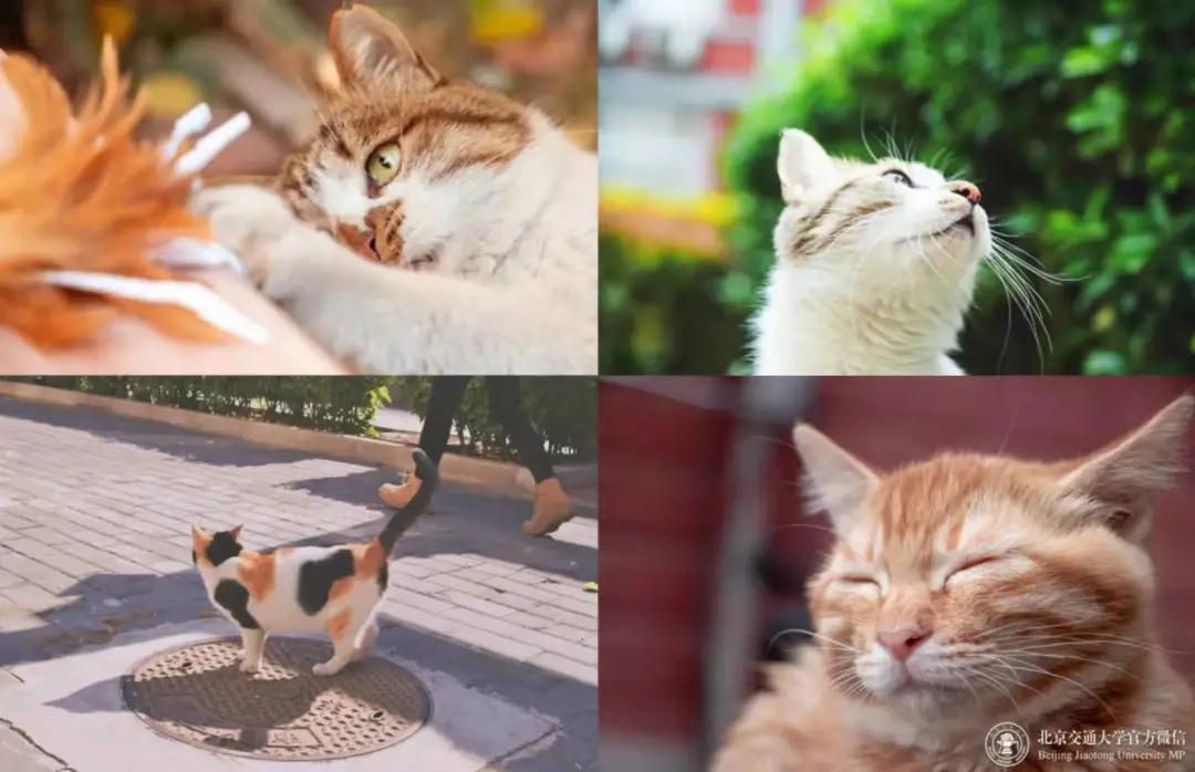 多少分能够上个好大学,多少分能上美校