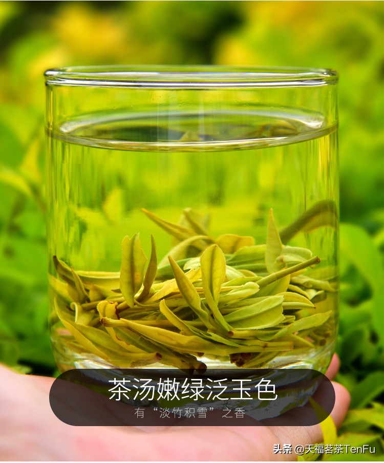 名优绿茶要用多少度的水泡茶,绿茶的基础知识及冲泡方法