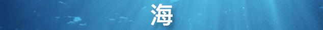 八一建军节致敬英烈,八一建军节致敬军人题材