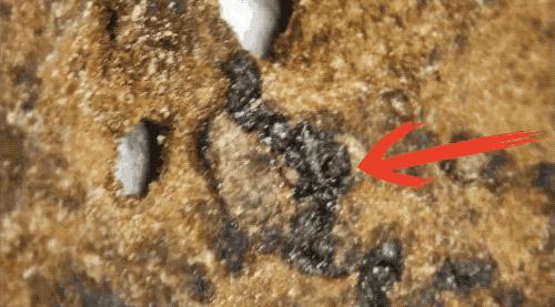 百万美金买的千年古籍实际才刚成年？现代打假技术太给力了
