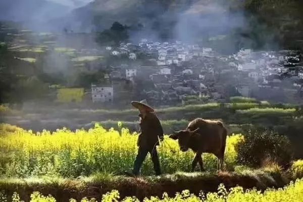 婺源旅游全攻略自由行,婺源旅游攻略一日游自由行
