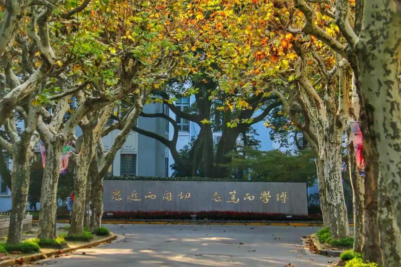 复旦大学，生日快乐！