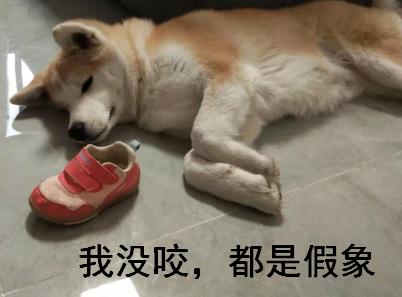 浙江高考数列放缩,高考数学数列大题还考吗